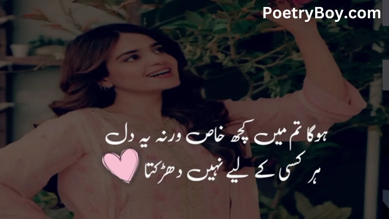 Attitude Poetry In Urdu Text