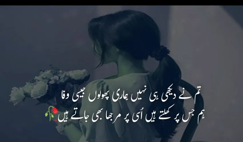 Love Poetry In Urdu Text