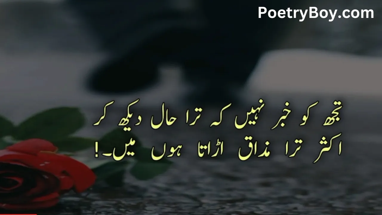 love Urdu poetry 2 lines