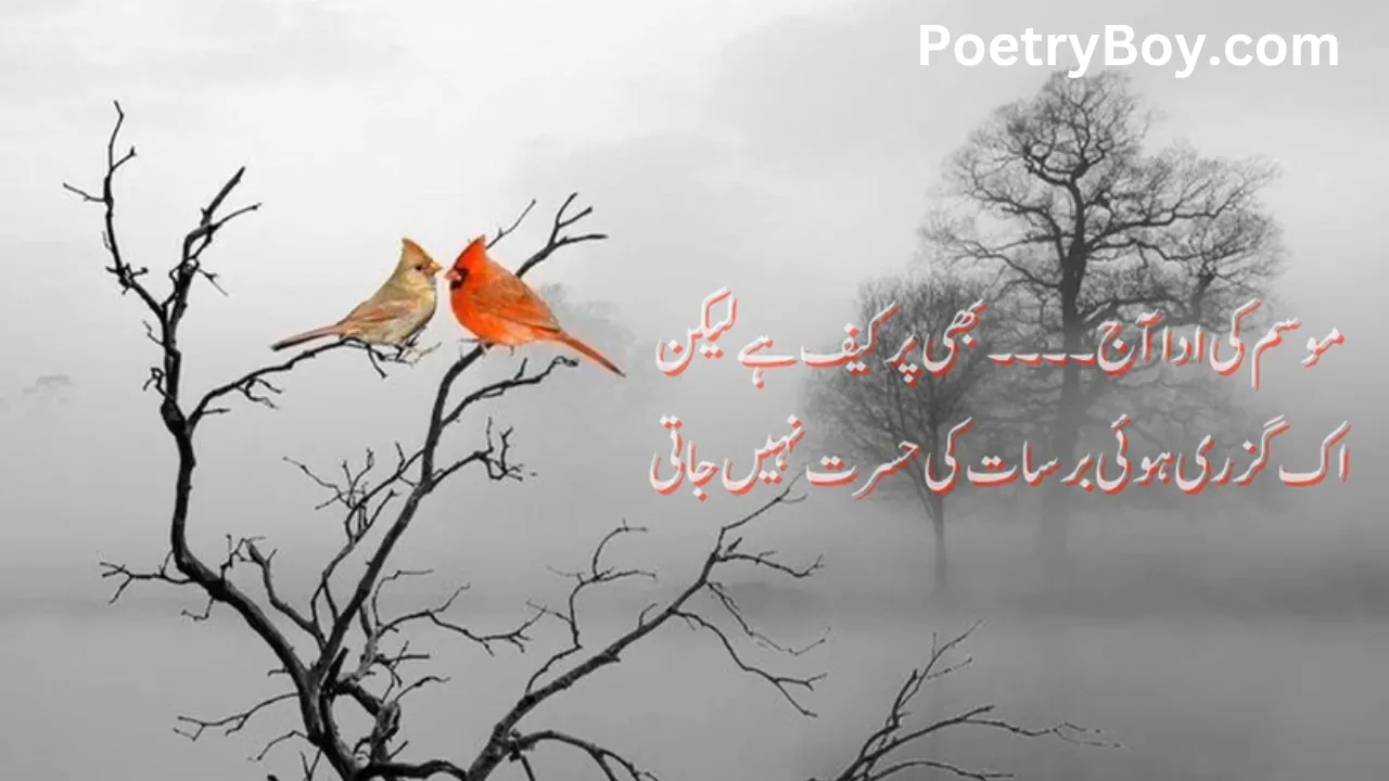Udas Poetry