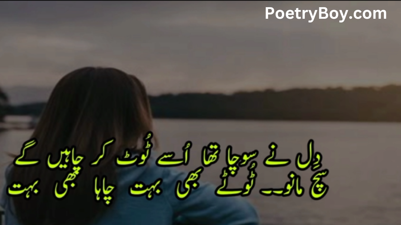 shero shayari