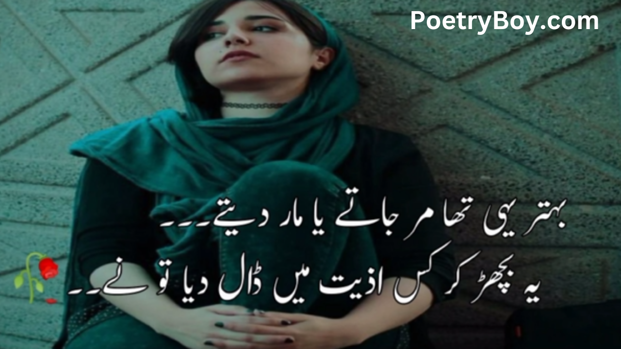 shero shayari