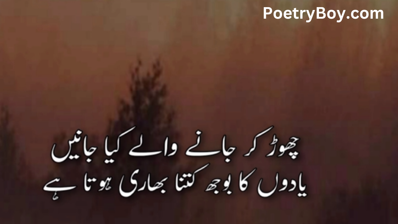 shero shayari