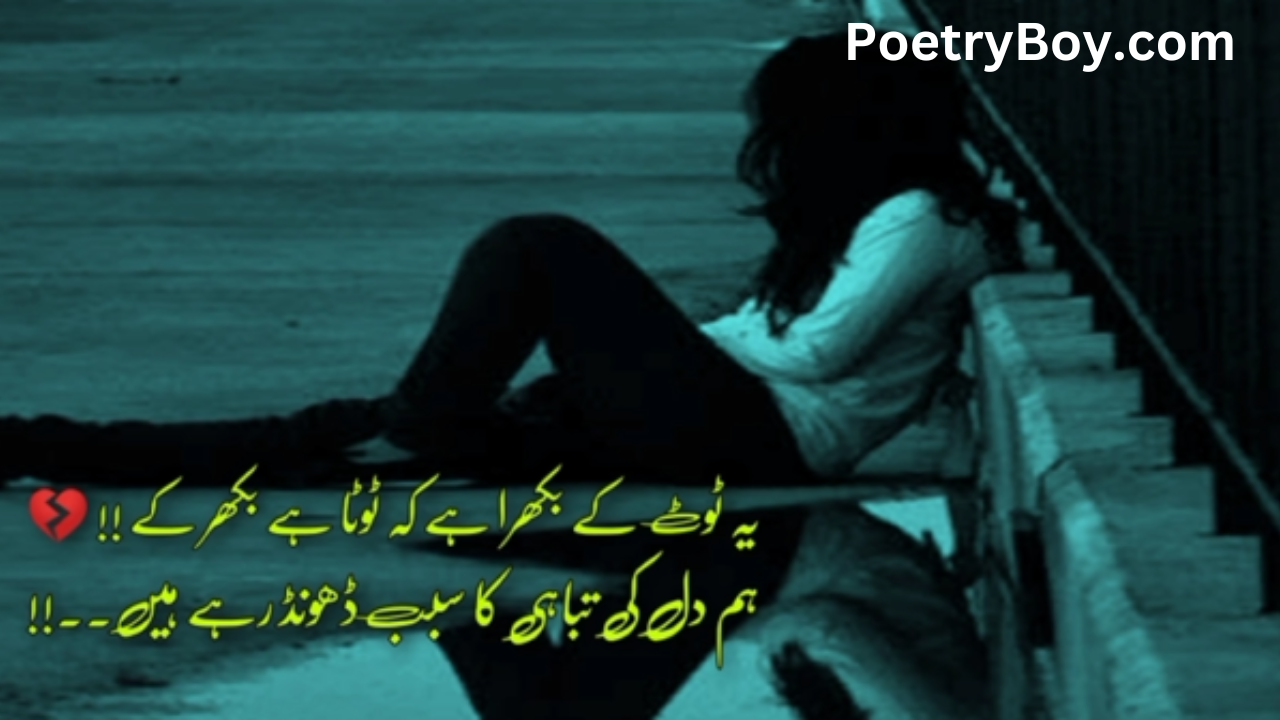 shero shayari