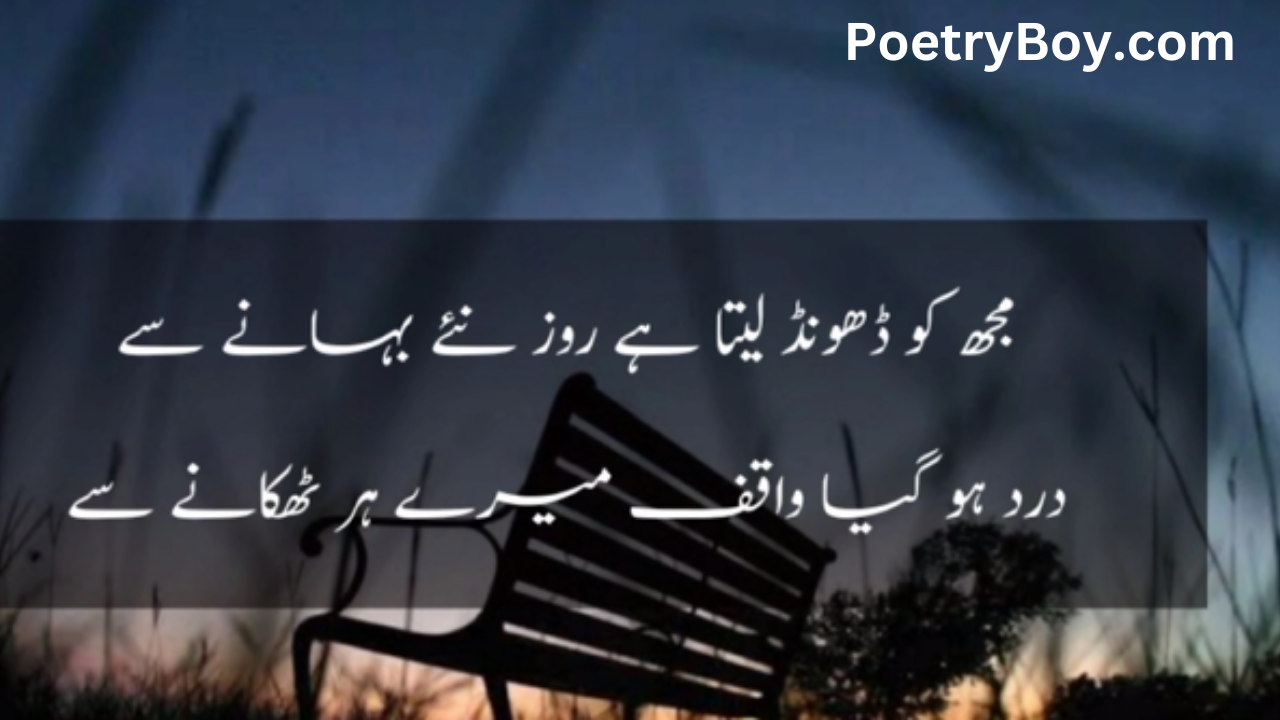 shero shayari