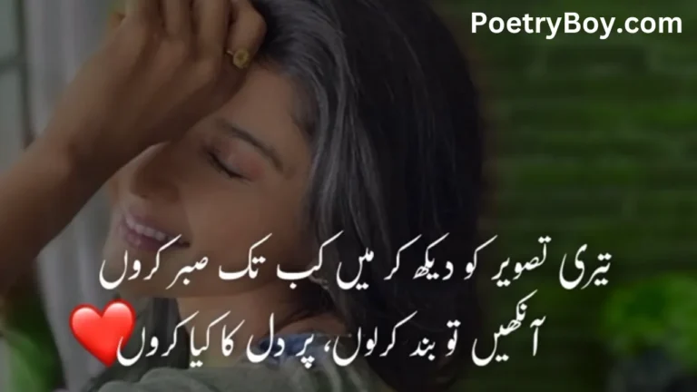 Attitude Poetry In Urdu Text