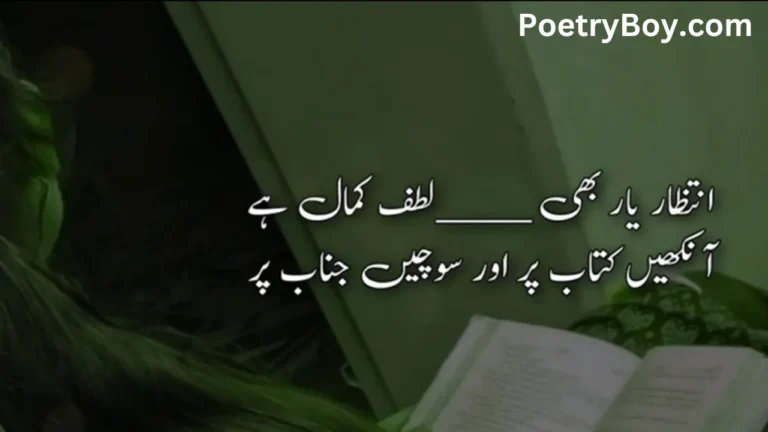 Poetry In Urdu Text Love