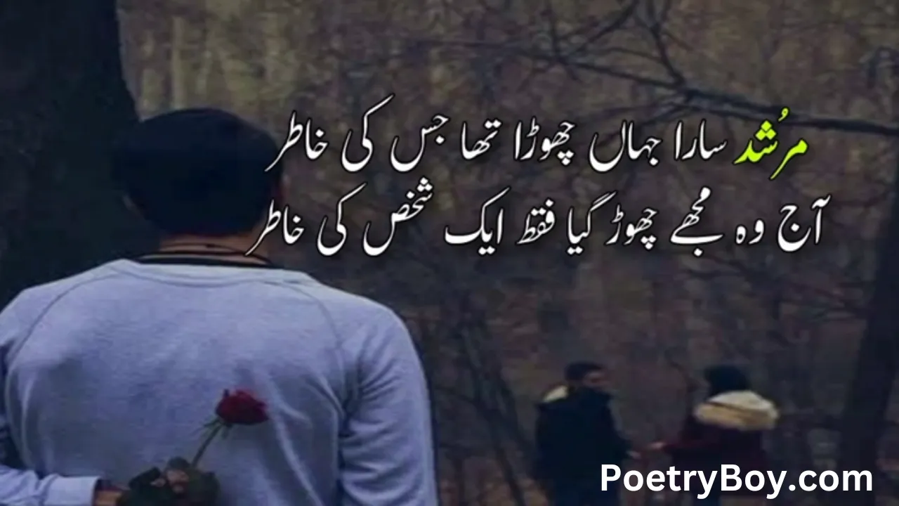 Urdu Shayari | Shayari In Urdu | Shayari 2024 - Poetry Boy